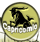 Capricornio - Del 21 de Diciembre al 21 de Enero